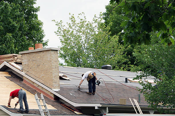 Roof Gutter Cleaning in Mount Holly Springs, PA